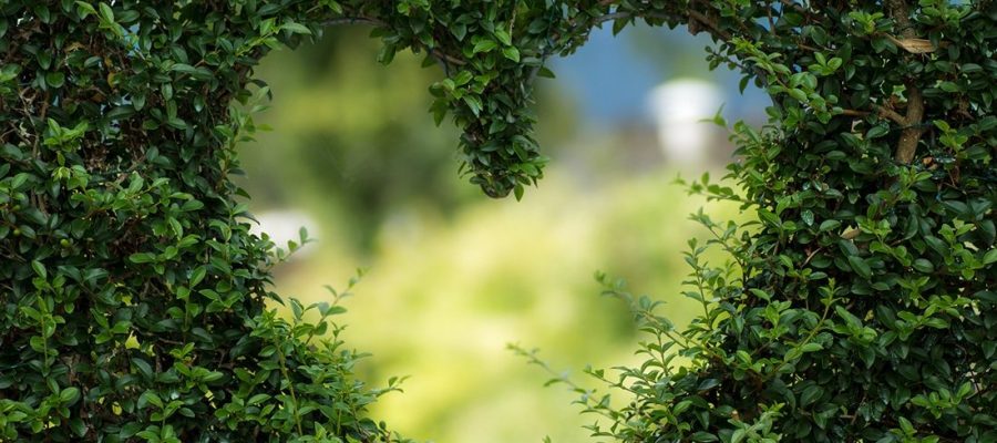 Groener gras_interne mobiliteit-