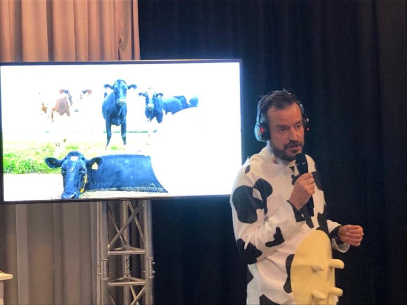 WhatsApp Image 2019-06-06 at 13.06.15